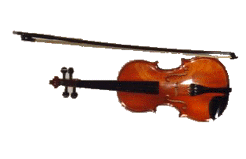 Violin