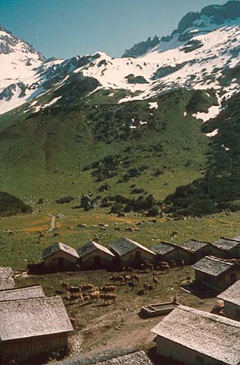 Alpe Spora (Gauertal)