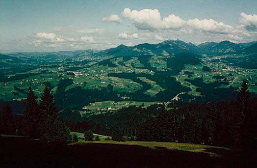 Vorderwald zwischen Weiach und Subersach