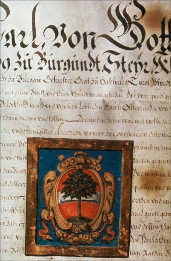 Wappenbrief der Gemeinde Dornbirn