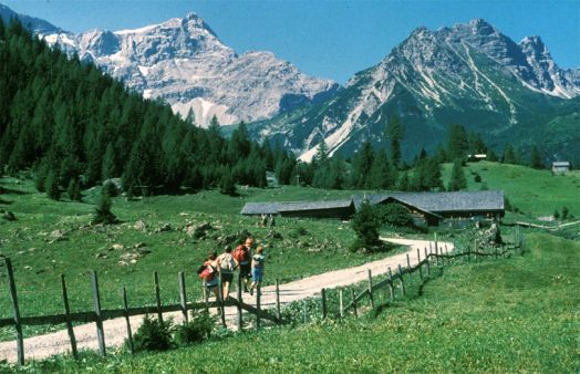 Zalimtal - Untere Zalimalpe - Alpwesen