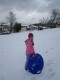Thumbs/tn_Img_0618.jpg