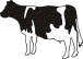 wpe1.gif (11337 Byte)