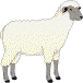 wpe9.gif (22106 Byte)