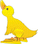 yellow duck