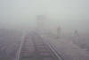 fog