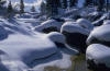snow