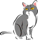 cat