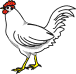 chicken