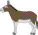 donkey