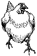 hen
