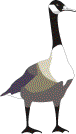 goose