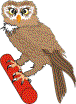 owl