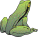 frog