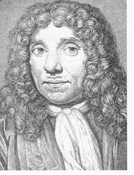 Anton van  Leeuwenhoek