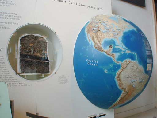 Kreidezeit (Museum of Natural History, New York)