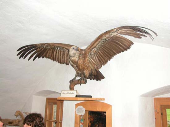Bild 07