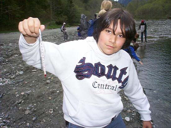 Bild 50
