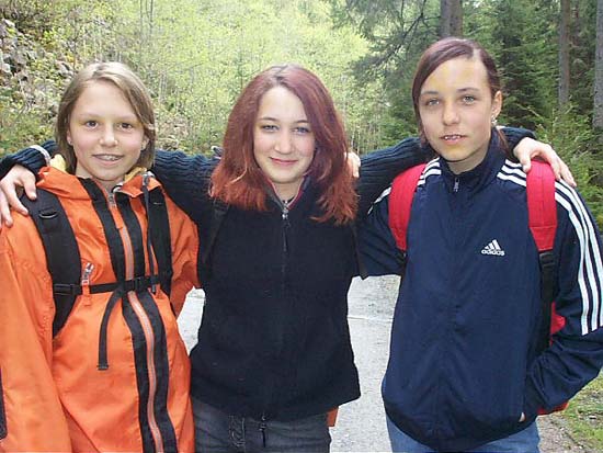 Bild 61