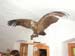 Bild 07