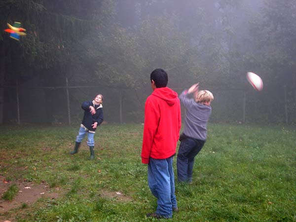 Sennewies Bild 20