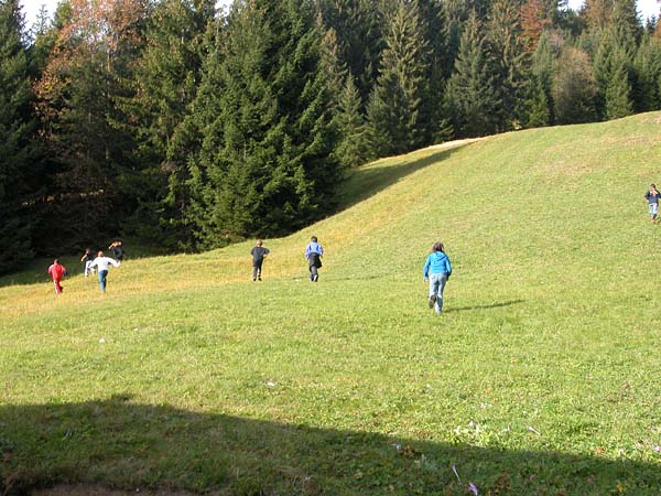 Sennewies Bild 35