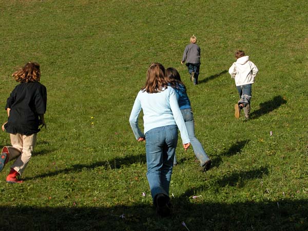 Sennewies Bild 37