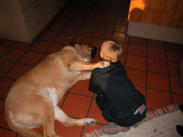 Sennewies Bild 44