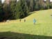 Sennewies Bild 35
