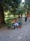 Bild 44