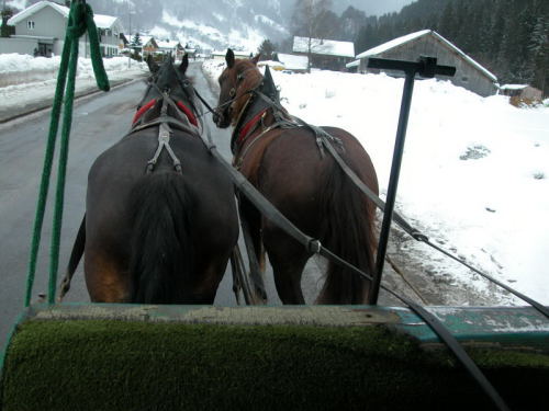 Schiwoche-Tschagguns Foto 63