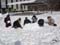 Schneefiguren der 1a Foto 01