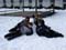 Schneefiguren der 1a Foto 05