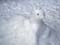 Schneefiguren der 1a Foto 06