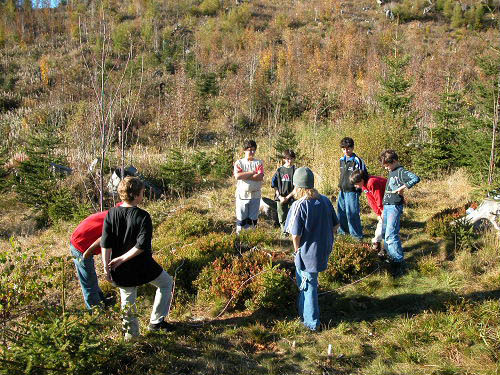Bild 002