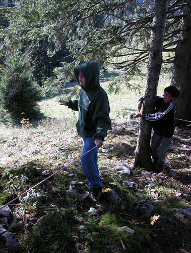 Bild 011