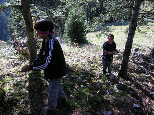 Bild 012
