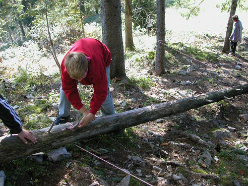 Bild 013
