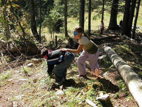 Bild 017