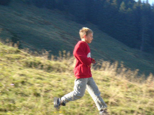 Bild 088