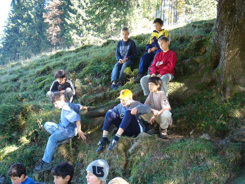 Bild 096