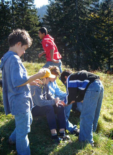 Bild 102