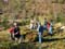 Bild 002