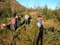 Bild 003