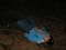 Bild 024