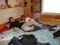 Bild 042