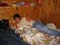 Bild 043