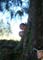 Bild 107