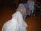 Bild 120
