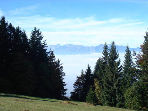 Bild 027